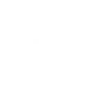 Outline image of growing plant