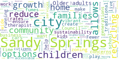 Wordcloud of issue text found elsewhere on this website